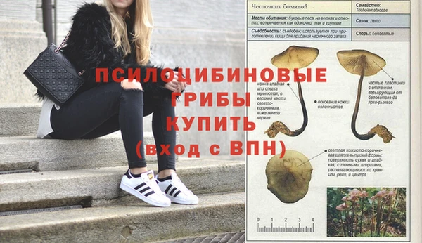 винт Баксан
